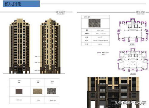 標(biāo)桿房企產(chǎn)品線深度解析 67頁(yè)課件助力房地產(chǎn)經(jīng)紀(jì)專業(yè)提升